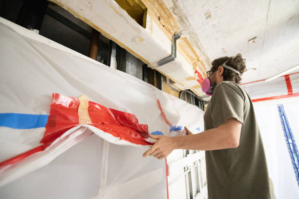 Best Emergency Mold Remediation  in Rye Brook, NY