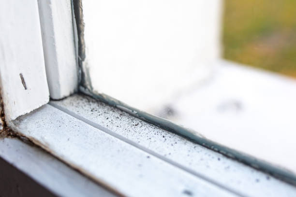 Mold Remediation for Rental Properties in Rye Brook, NY