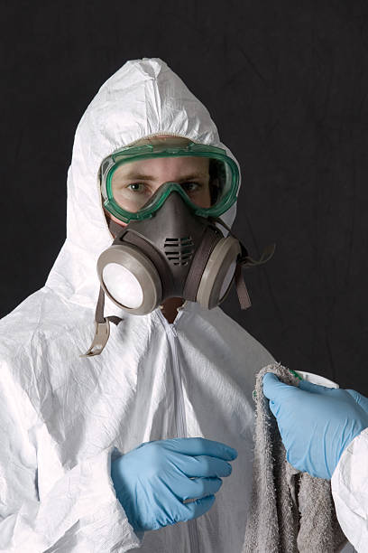 Reliable Rye Brook, NY Mold Removal Solutions